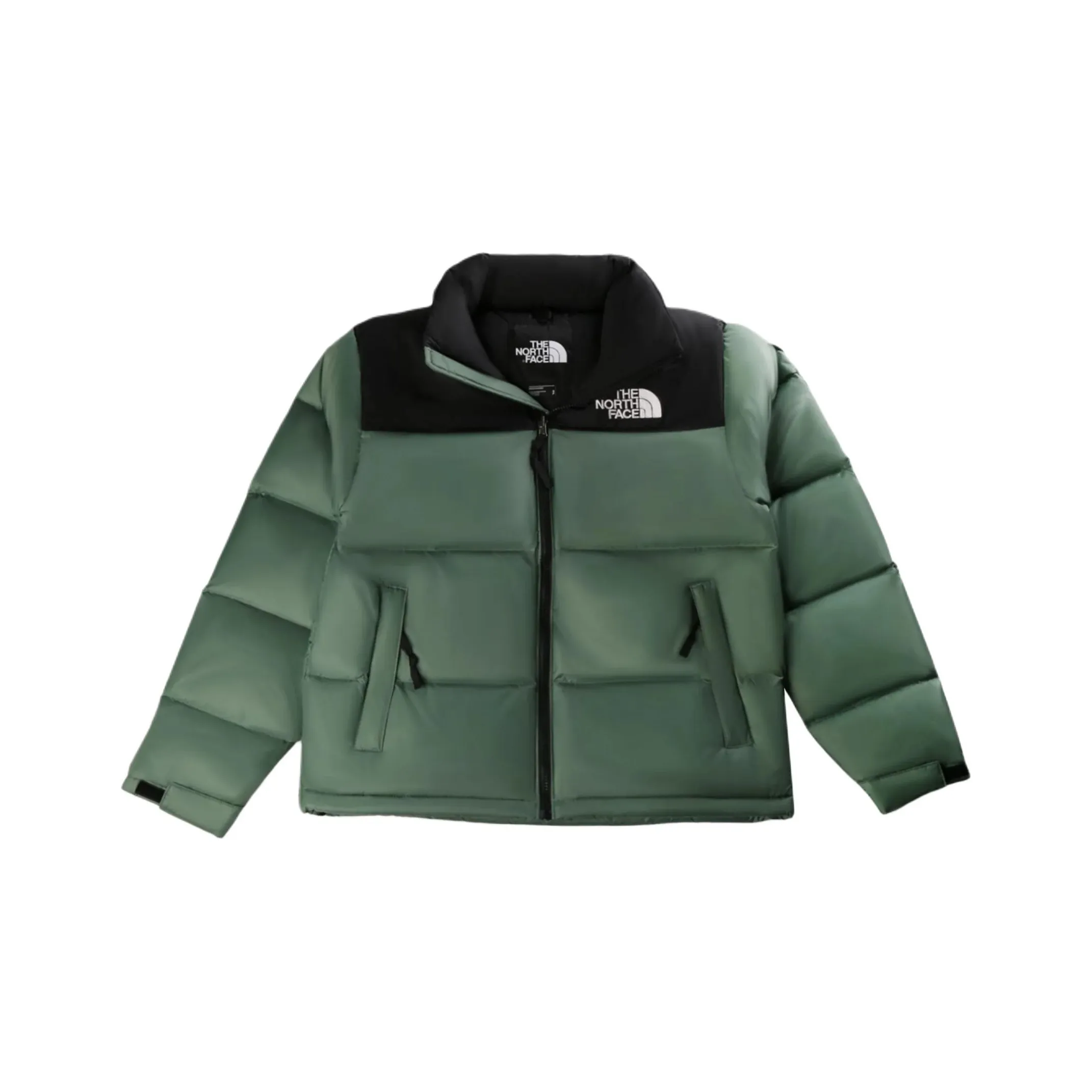 THE NORTH FACE Куртки и Пальто Мужской Зеленый