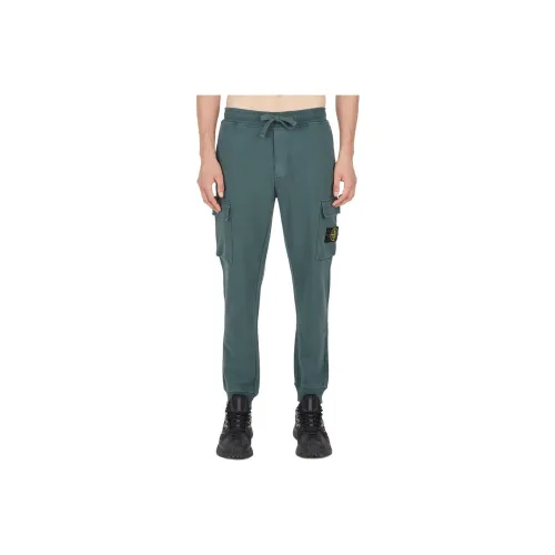 STONE ISLAND Petroleum Зеленые Мужские Брюки Карго