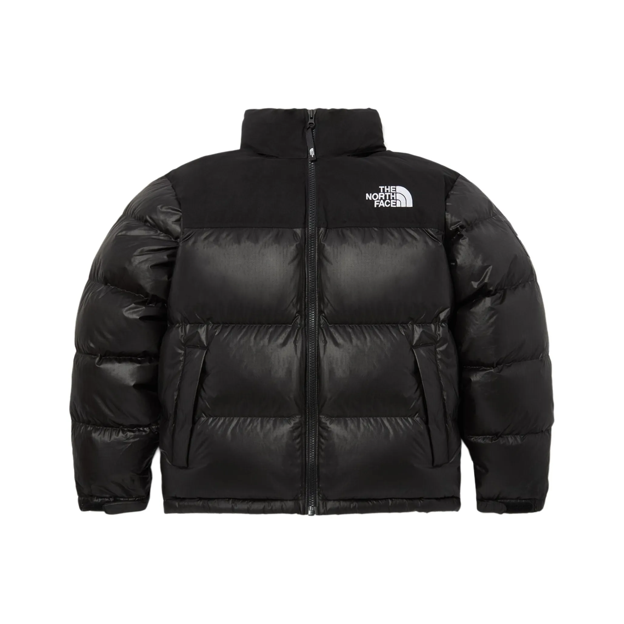 THE NORTH FACE Nuptse Пуховики и зимние пальто Мужской Черный