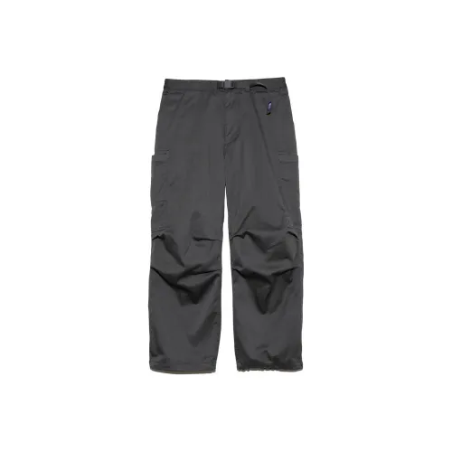 THE NORTH FACE PURPLE LABEL Асфальтовый серый Мужские брюки карго