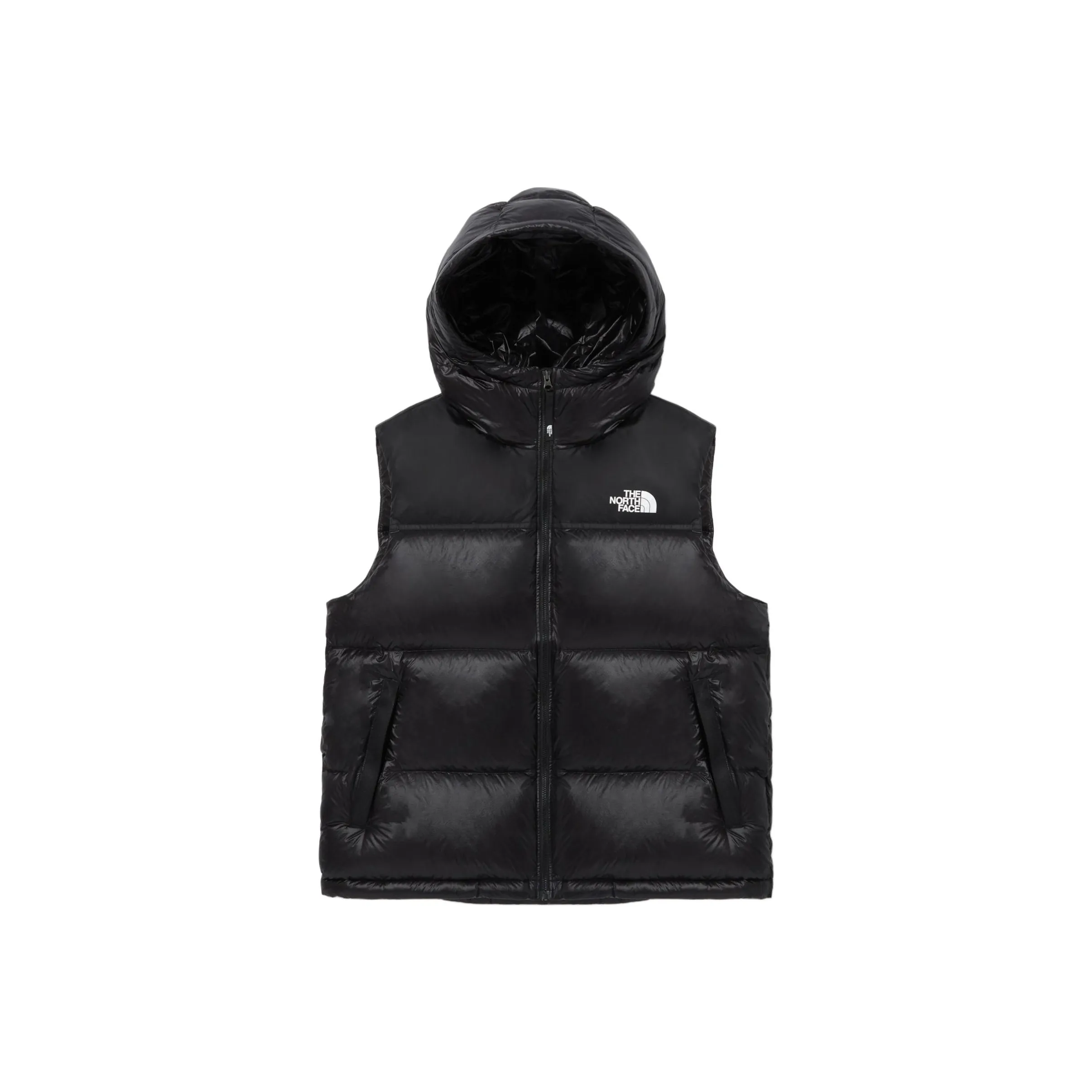 THE NORTH FACE 1996 Collection Пуховик Унисекс Черный