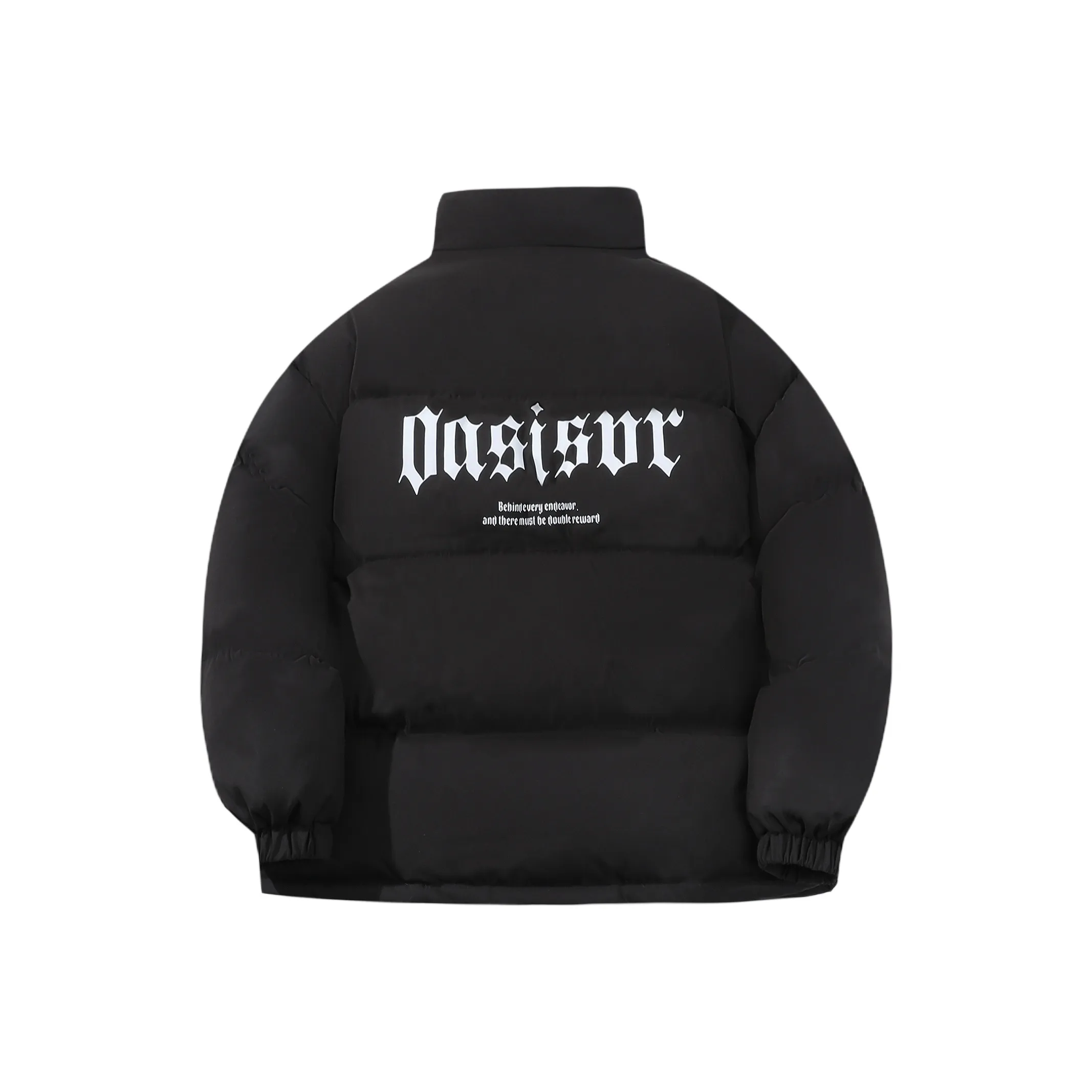 OASISVR Мужские пуховики