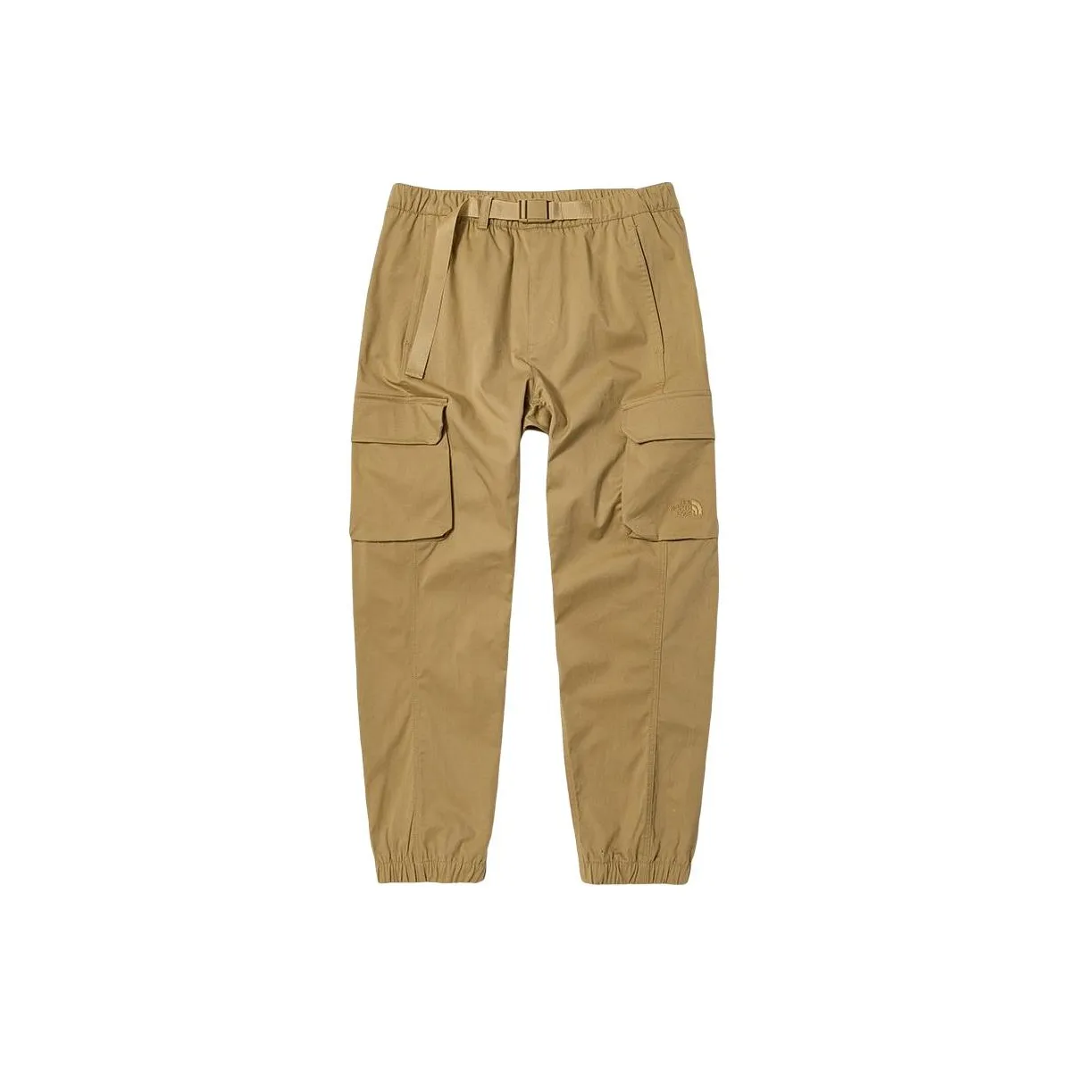 THE NORTH FACE Коричневые Мужские Карго Брюки