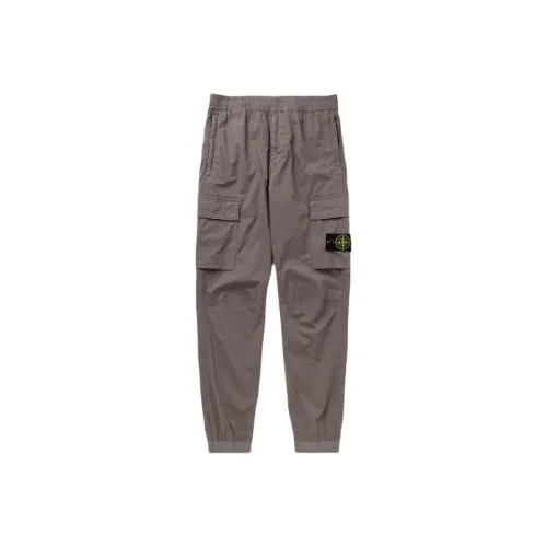 STONE ISLAND Мужские брюки карго голубино-серого цвета