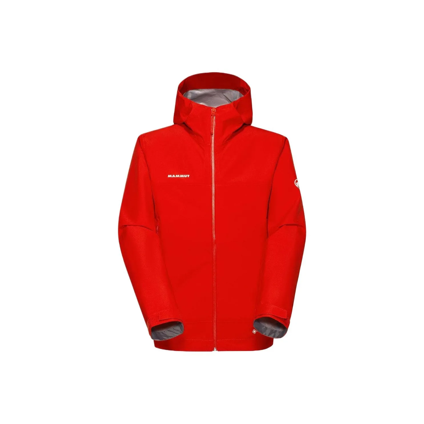 MAMMUT Crater Свет Crater Свет Gore TEX EPE Куртка Мужской