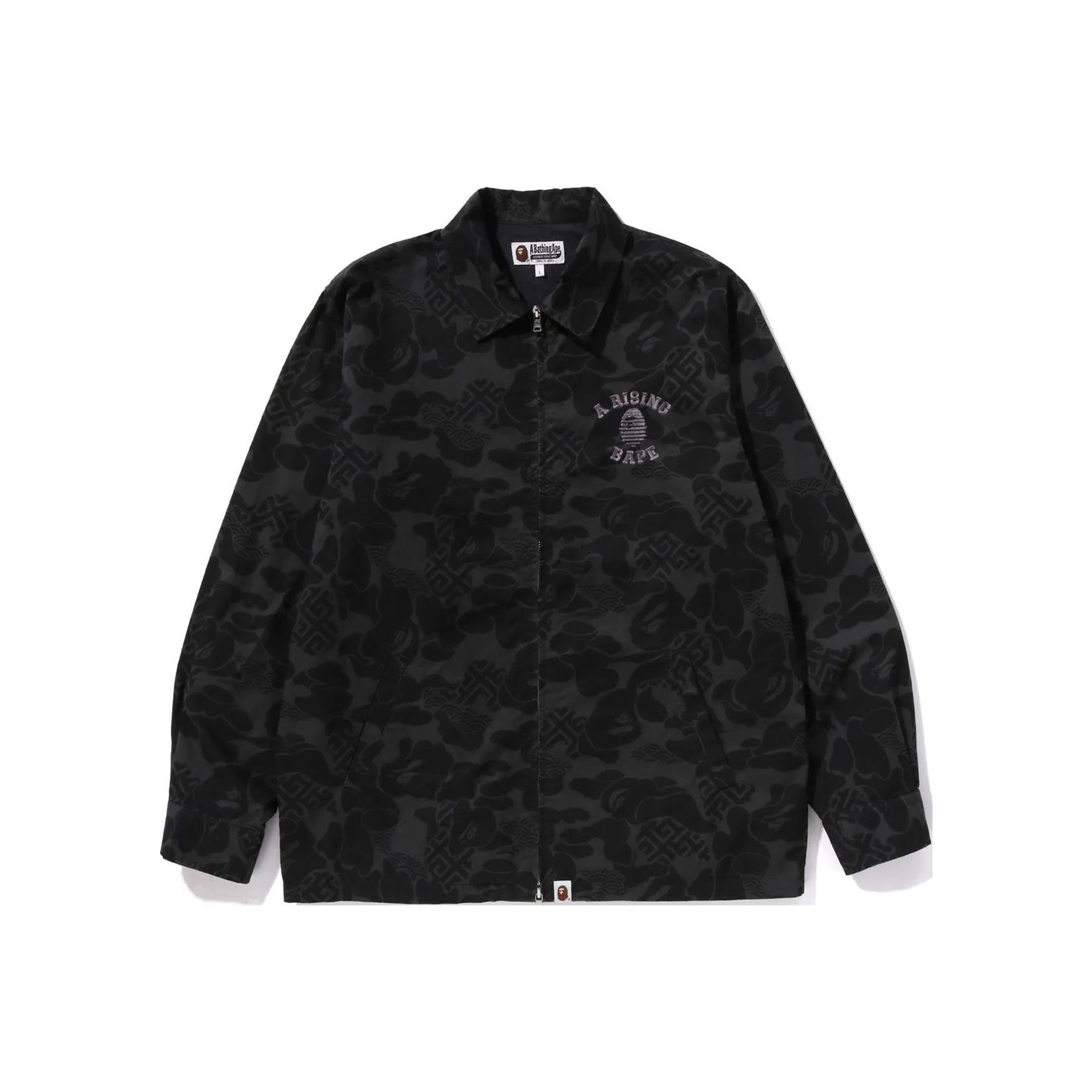 A BATHING APE Asia Camo Zip Jacket