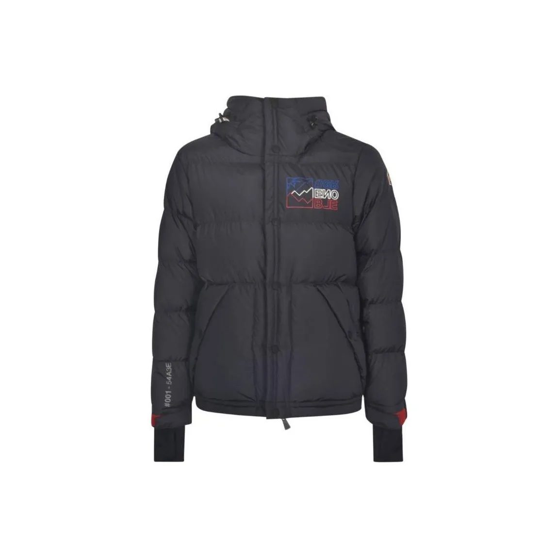 Moncler Down Jacket Men's Dark Blue