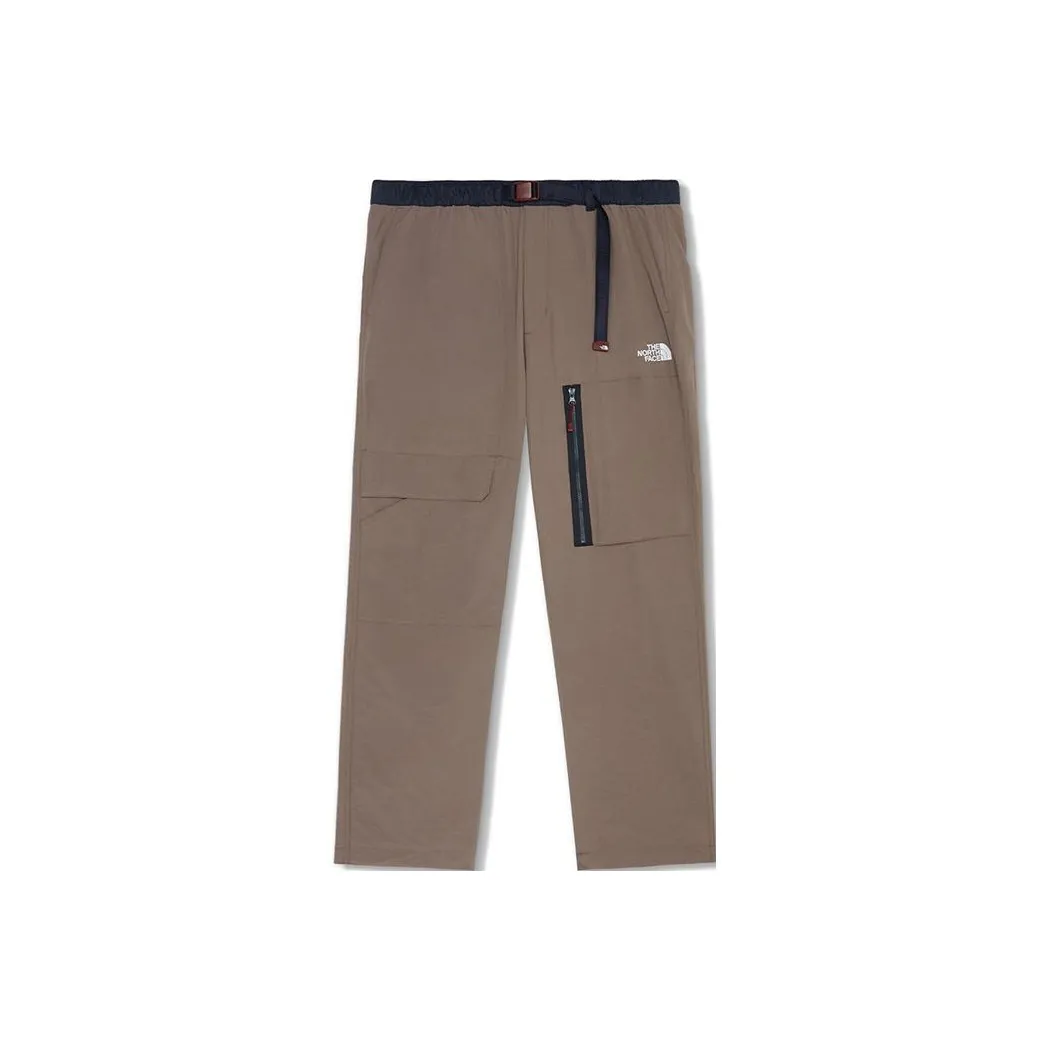 THE NORTH FACE Повседневные брюки Мужские Темно-кофейные