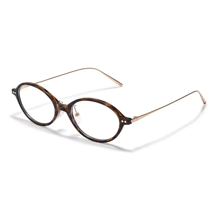 Sagawa TR Memorial Plastic Semi Titanium Oval Оправы для очков Унисекс