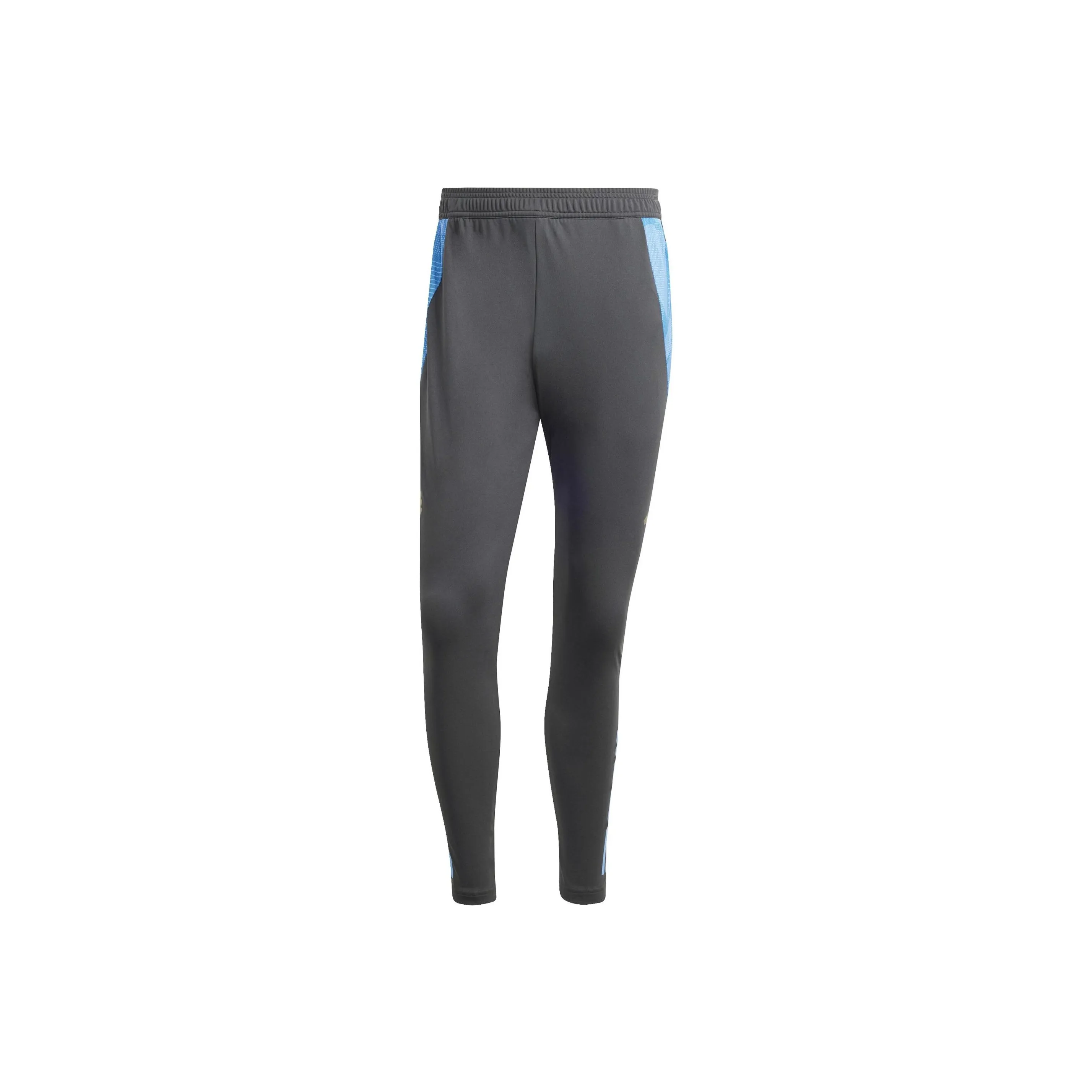 Adidas Argentina Tiro 24 Competition Training Pants