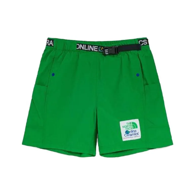 The North Face Online Ceramics Зеленые Мужские Повседневные Шорты
