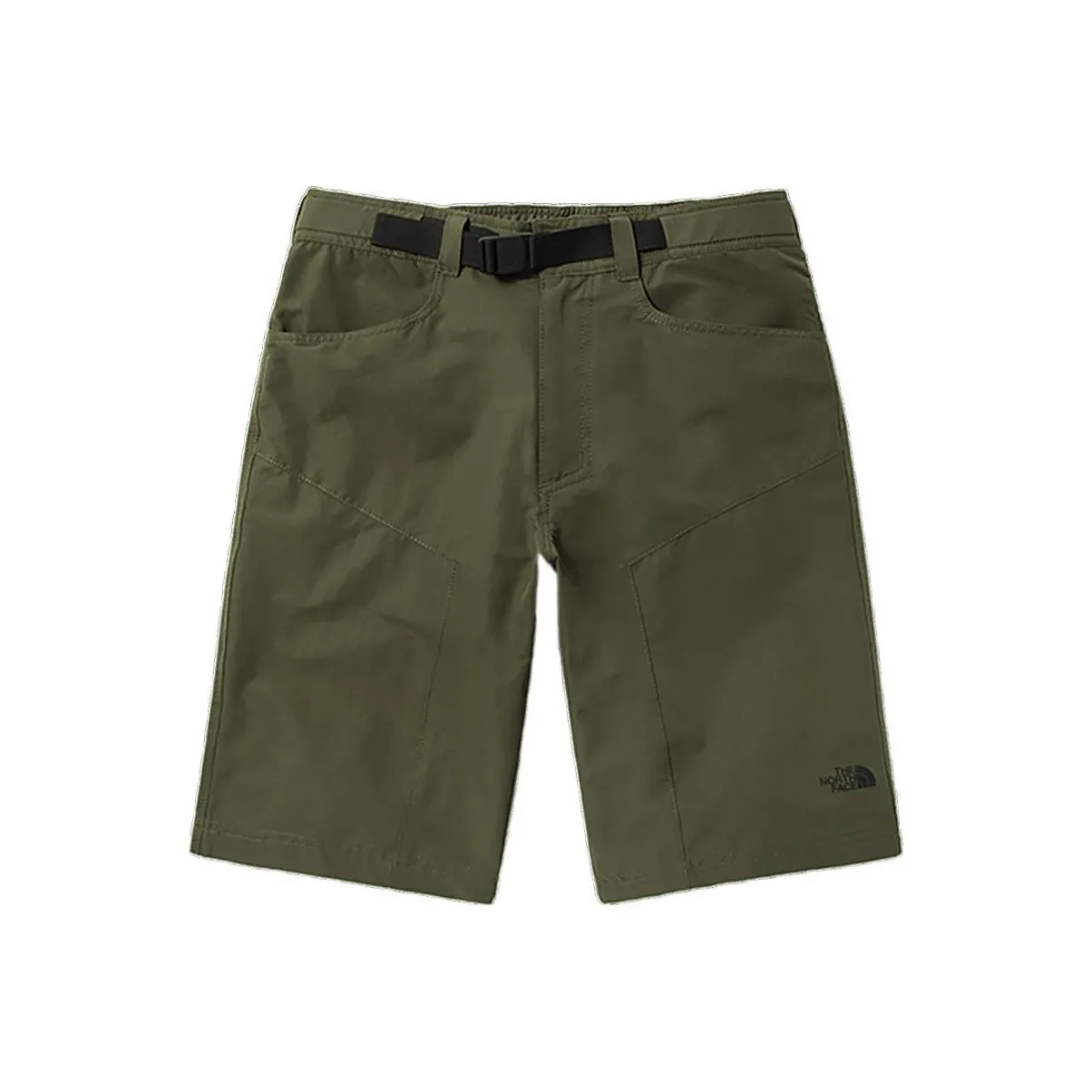 The North Face Зеленые Мужские Повседневные Шорты