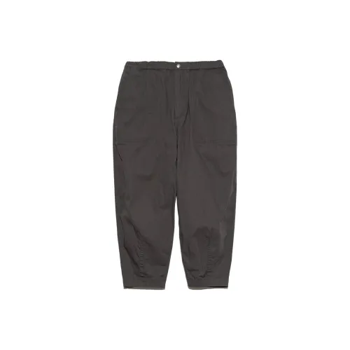 THE NORTH FACE PURPLE LABEL Асфальтовый серый/AH Унисекс Повседневные брюки