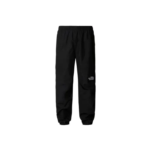 The North Face Черные Мужские Повседневные Брюки