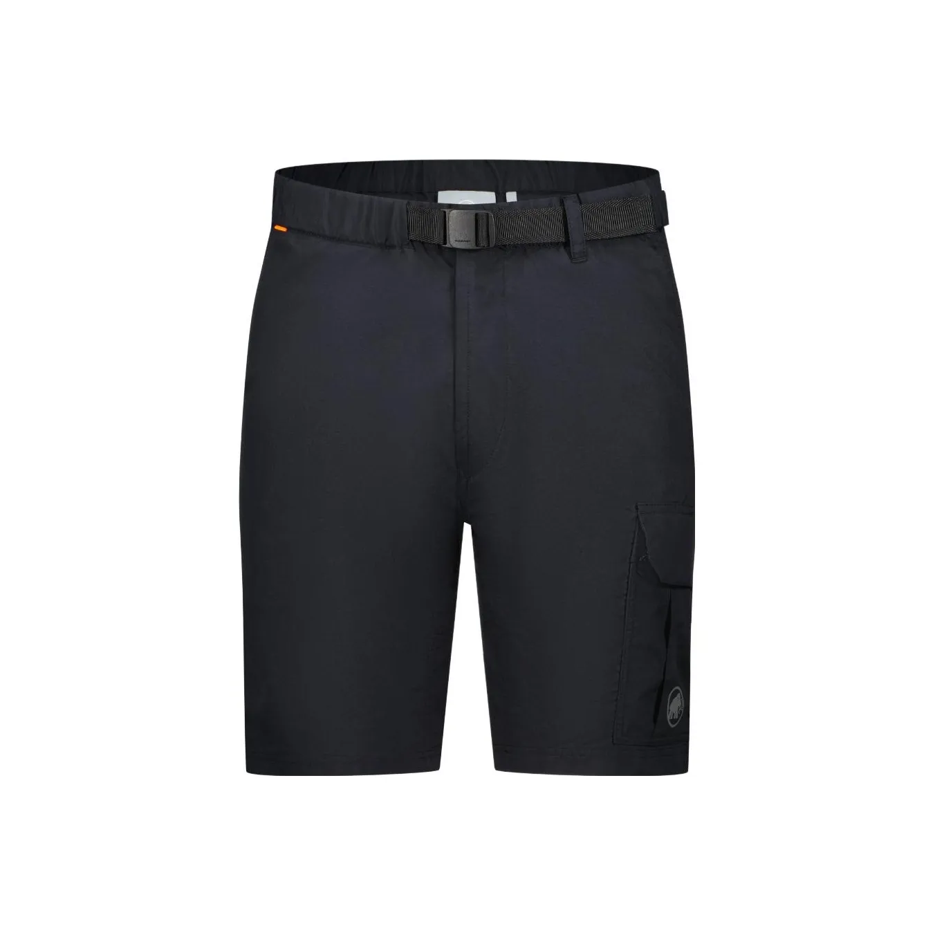 MAMMUT Поход Повседневные шорты Мужские