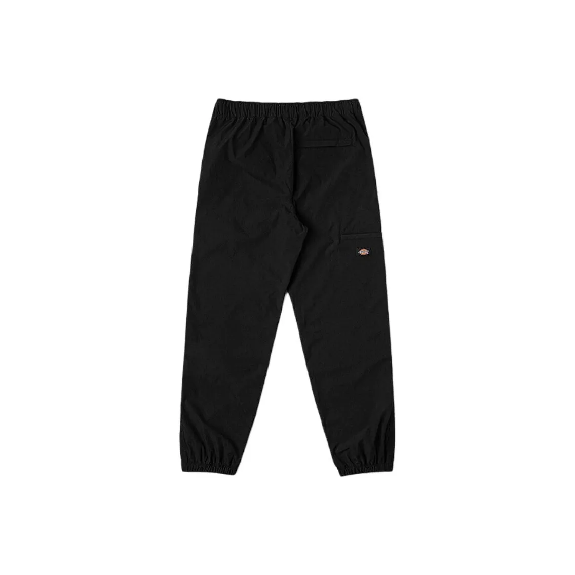 Dickies SS24 Повседневные брюки Мужские