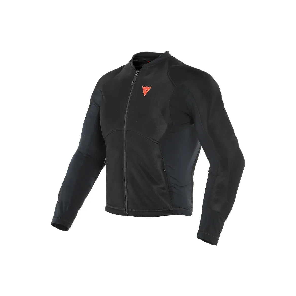 DAINESE PRO ARMOR Racing Suits & Motorcycle Suits Unisex Black