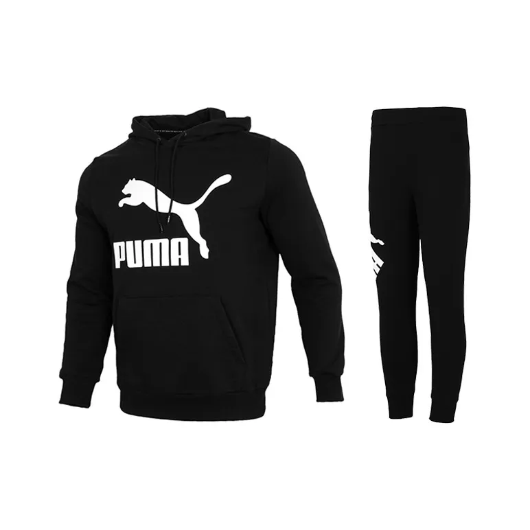 PUMA Мужские Спортивные костюмы с толстовкой