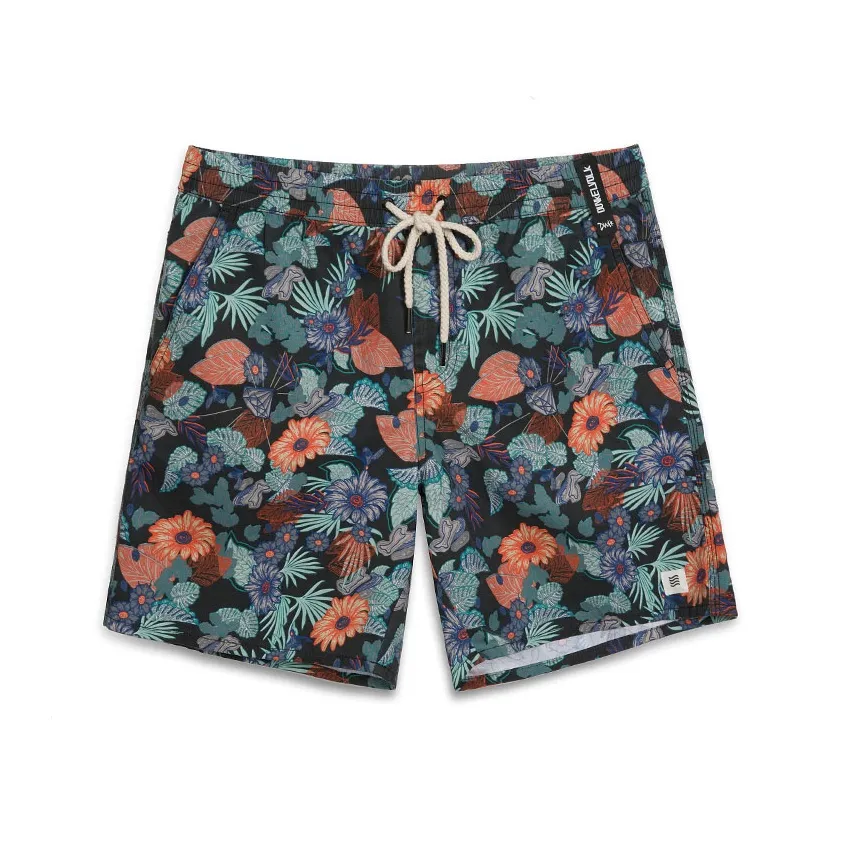 DUNKELVOLK Плавание Пляжные шорты Мужские Многоцветные