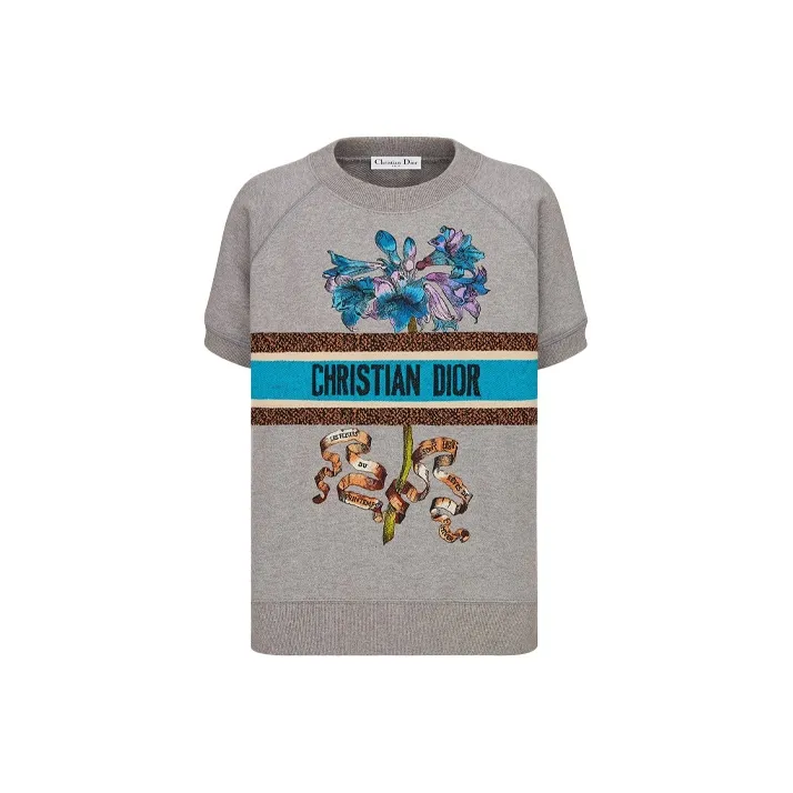 DIOR Quarterly New Products Raglan Sleeve T Shirt Women's Gray