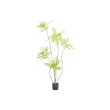 블루 바우히니아 Bonsai-라지