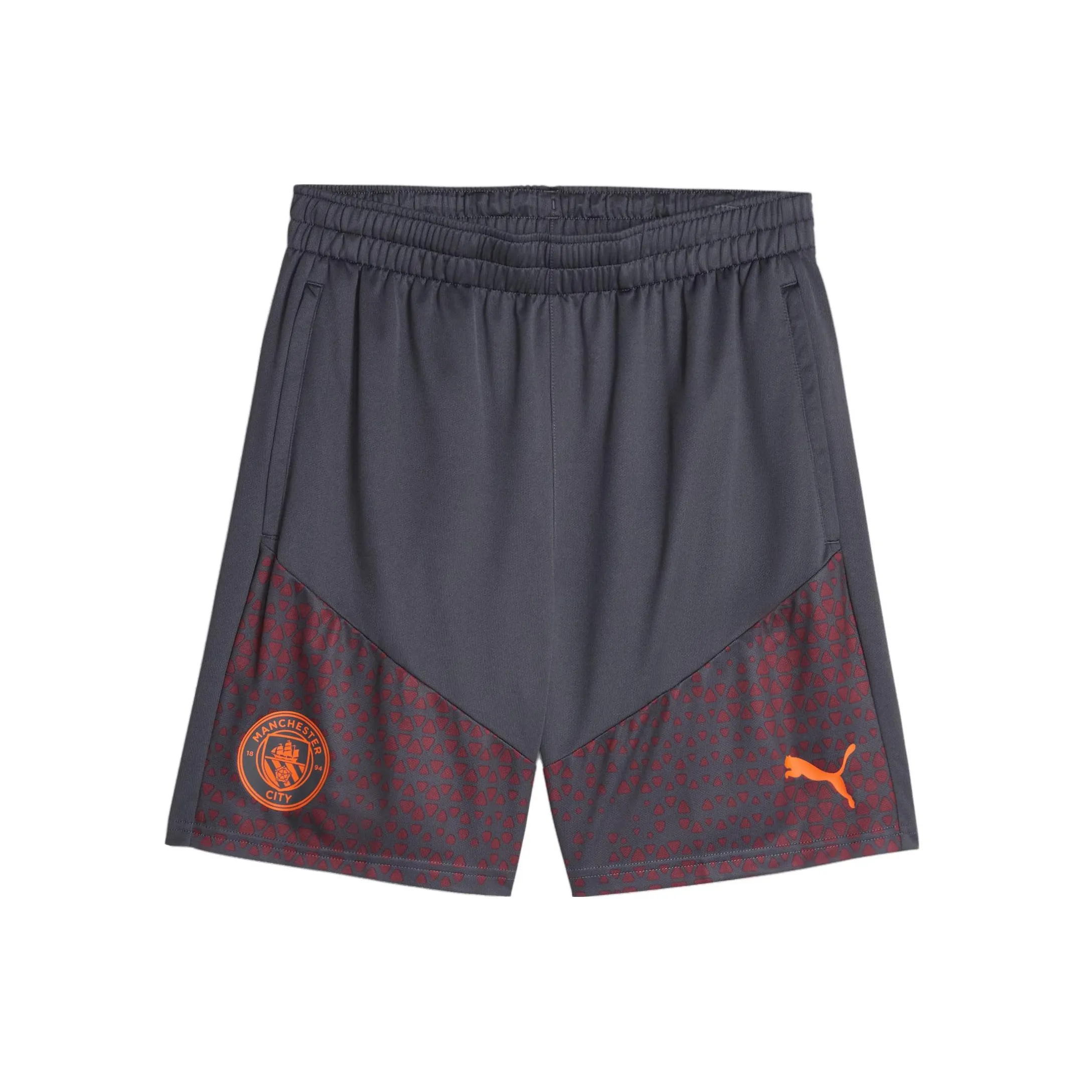 PUMA Manchester City Dense Серый Мужские футбольные штаны