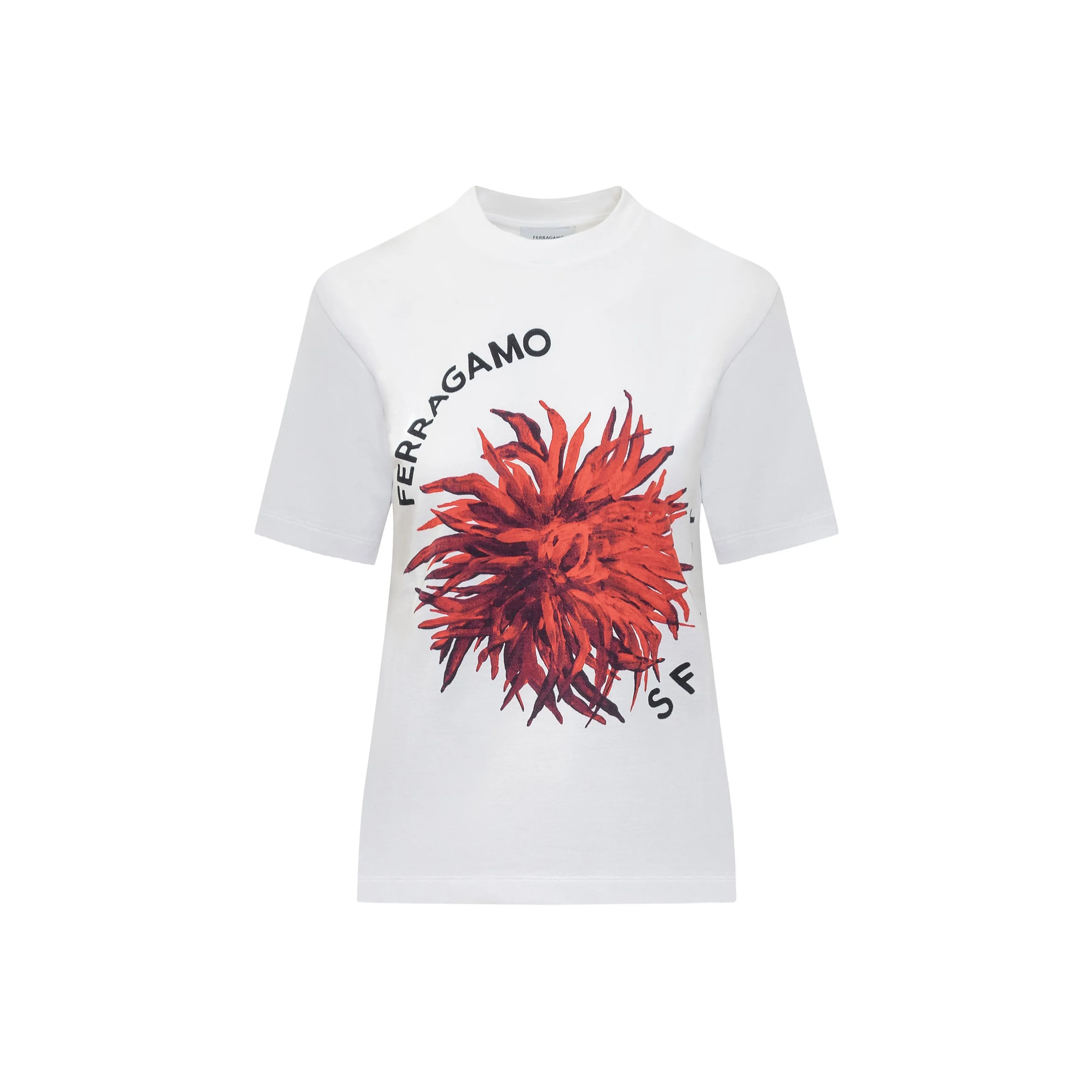 Ferragamo Short sleeve T shirt
