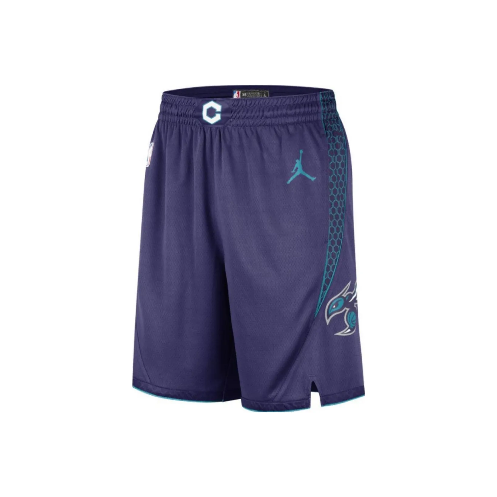 Jordan Charlotte Hornets Statement Edition Shorts