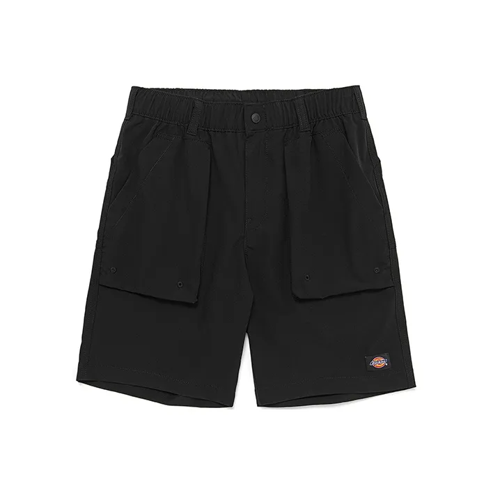 Dickies SS22 Повседневные шорты Мужские
