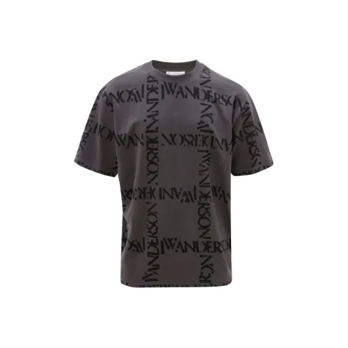 JW Anderson Серо-коричневые Женские Рубашки T