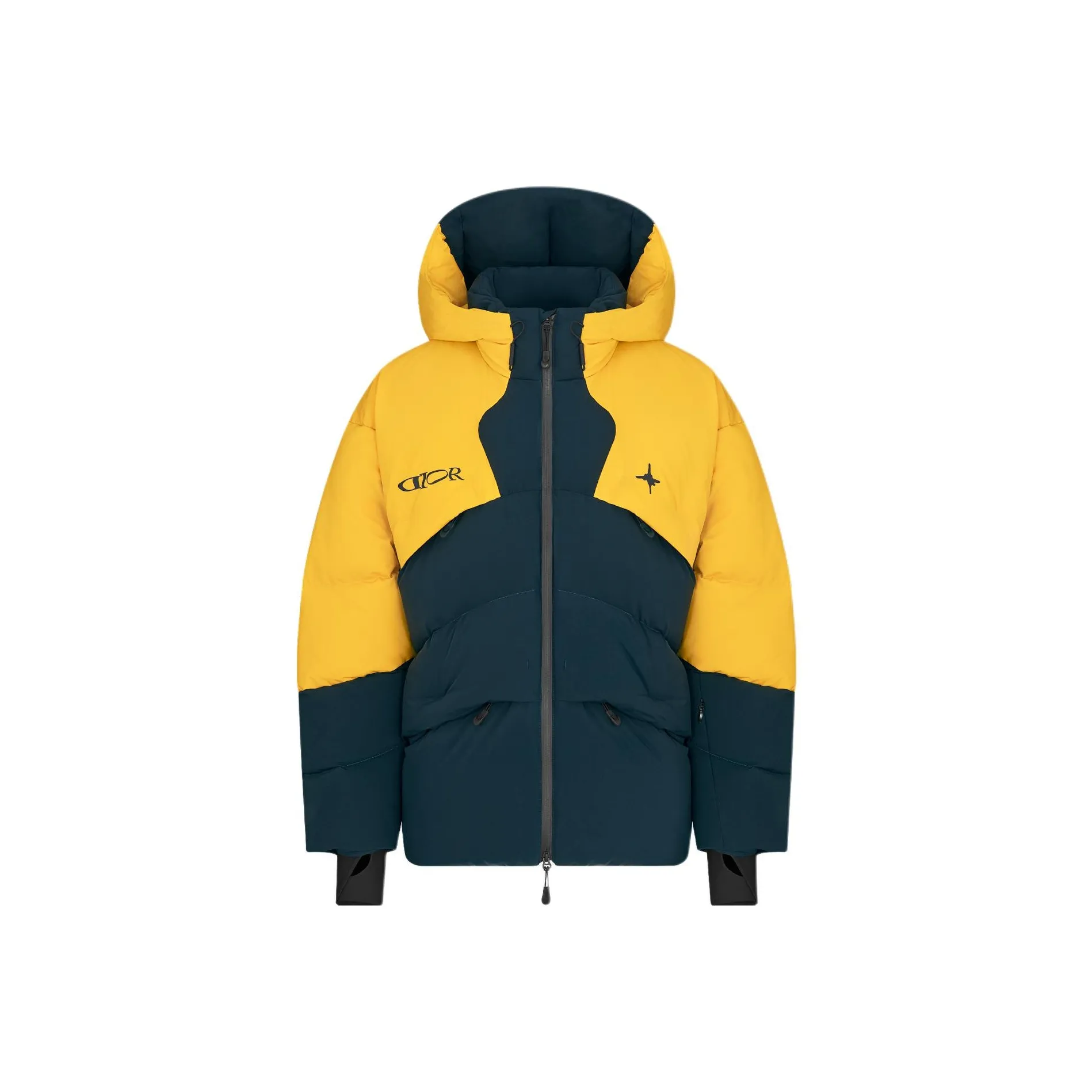 DIOR Homme X Descente X Lewis Hamilton Quilted Down Ski Jacket