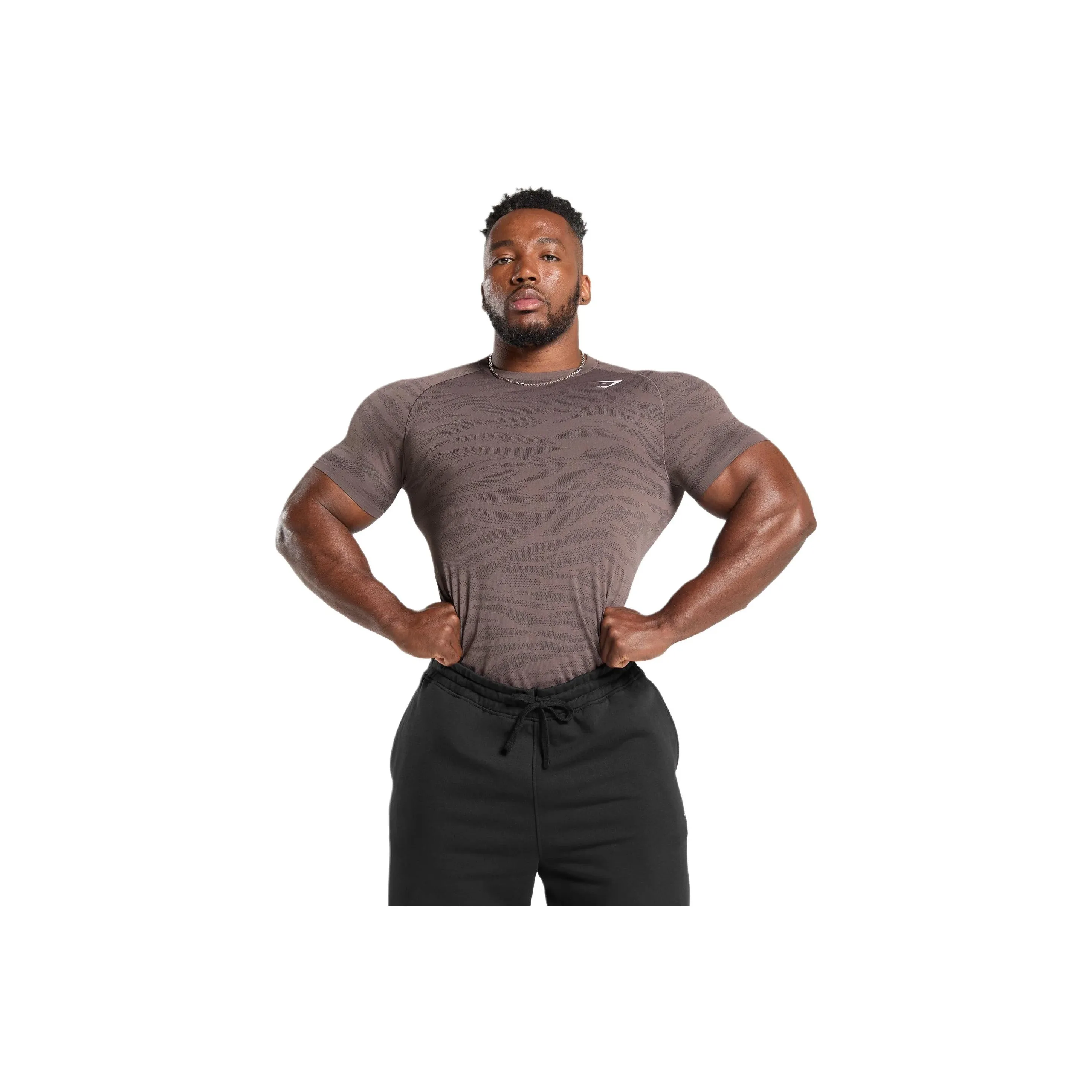 GYMSHARK GEO Животные Спортивная одежда Мужская Стальной Фиолетовый