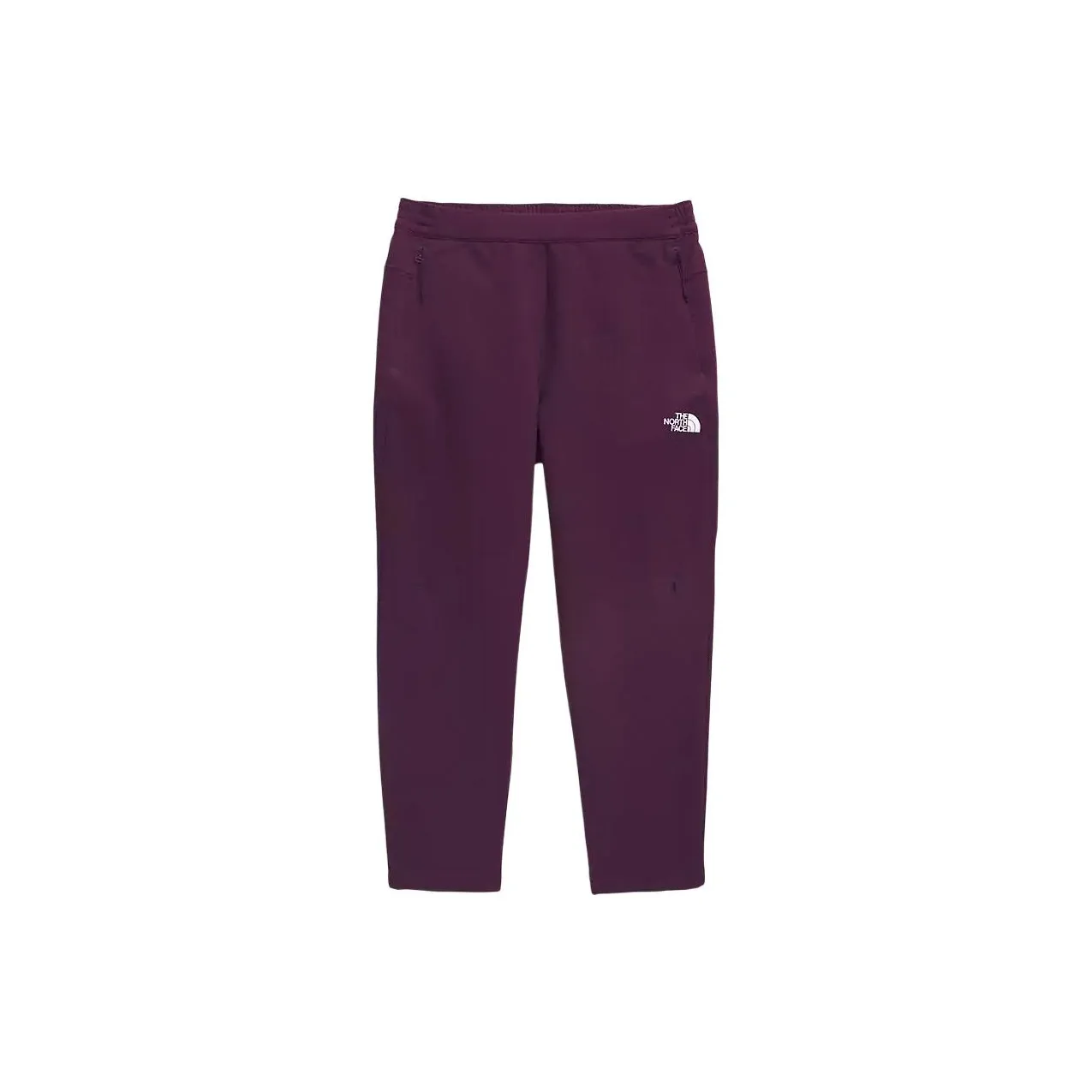 THE NORTH FACE Tekware™ Сетка Брюки Повседневные брюки Мужские Фиолетовые