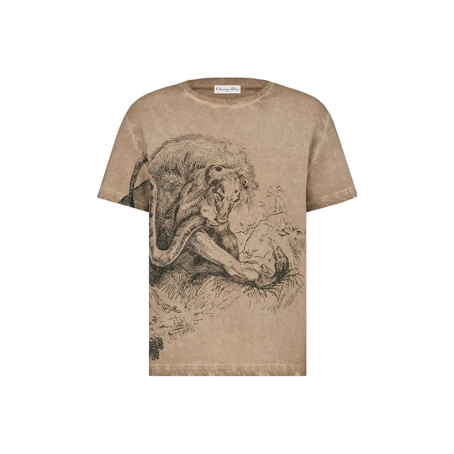 DIOR FW22 T Shirt Women's Brown