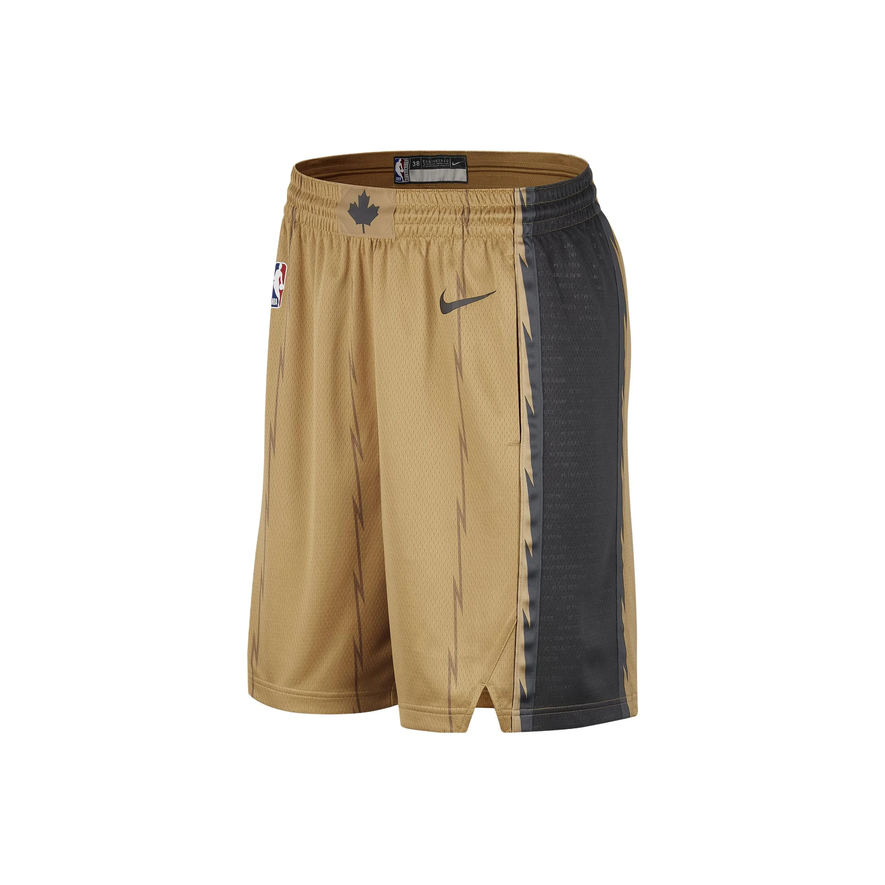 Nike Nba City Edition Toronto Raptors 2023/24 Dri Fit Swingman Shorts