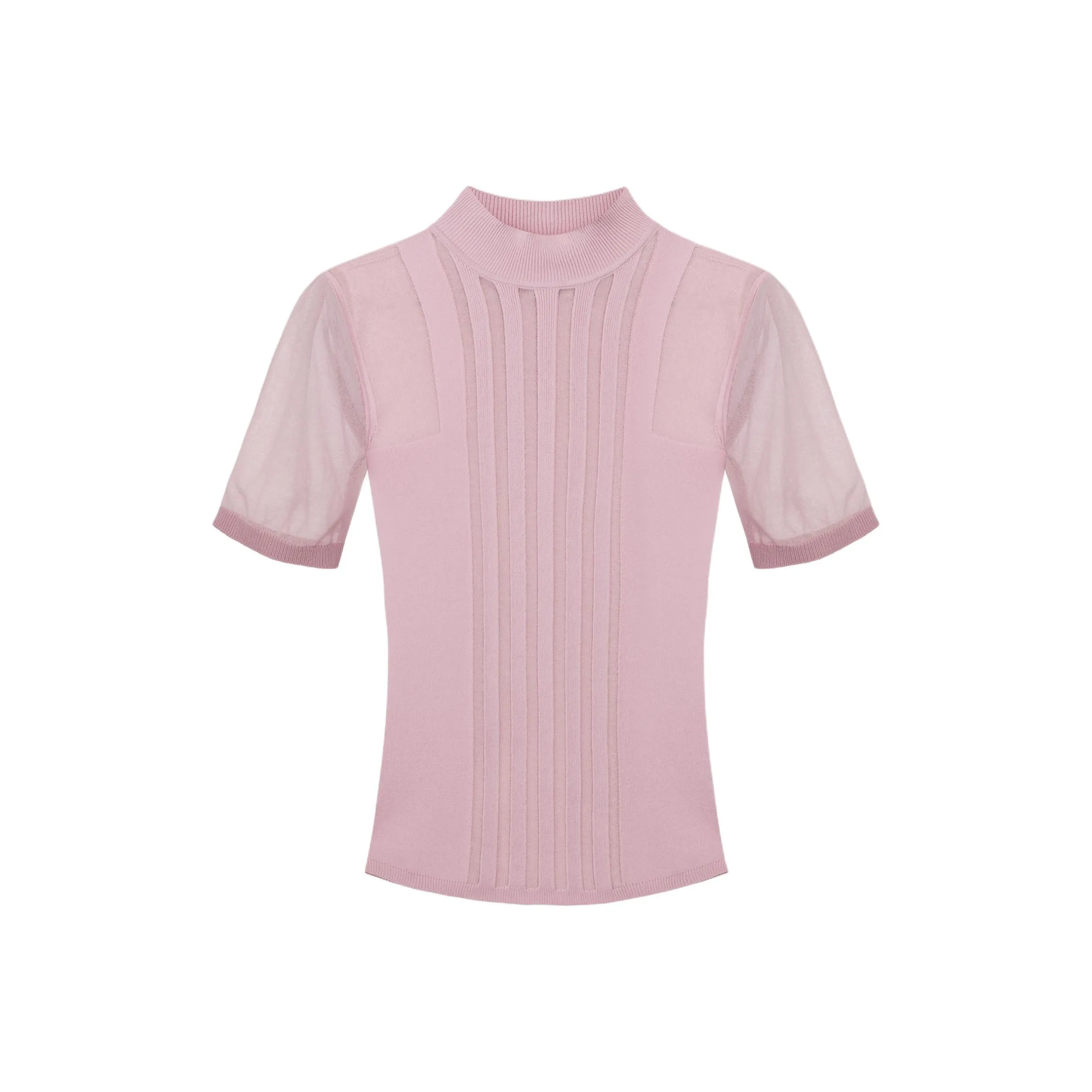 Elisabetta Franchi Transparency Detailed High Collared Top