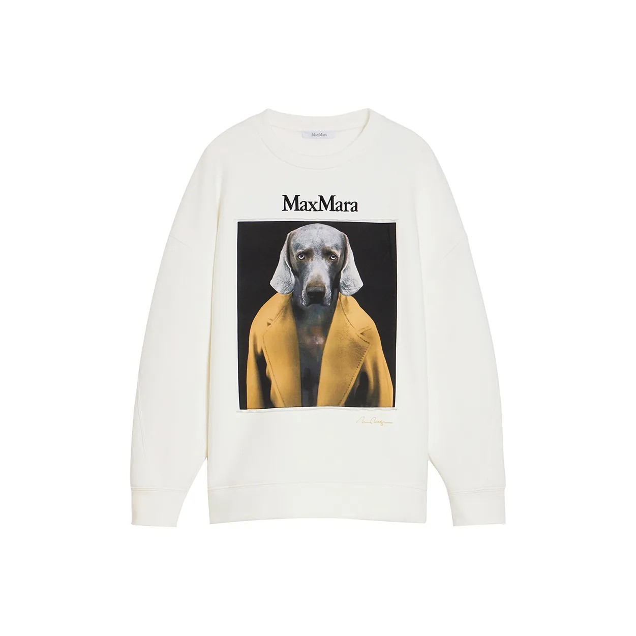 MaxMara Свитшот Женский Белый