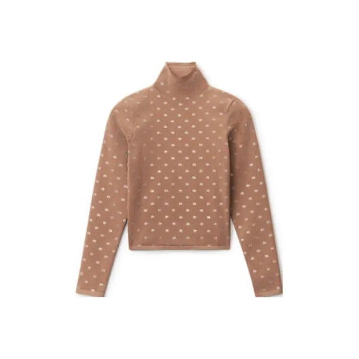 alexander wang Коричневые Женские Футболки