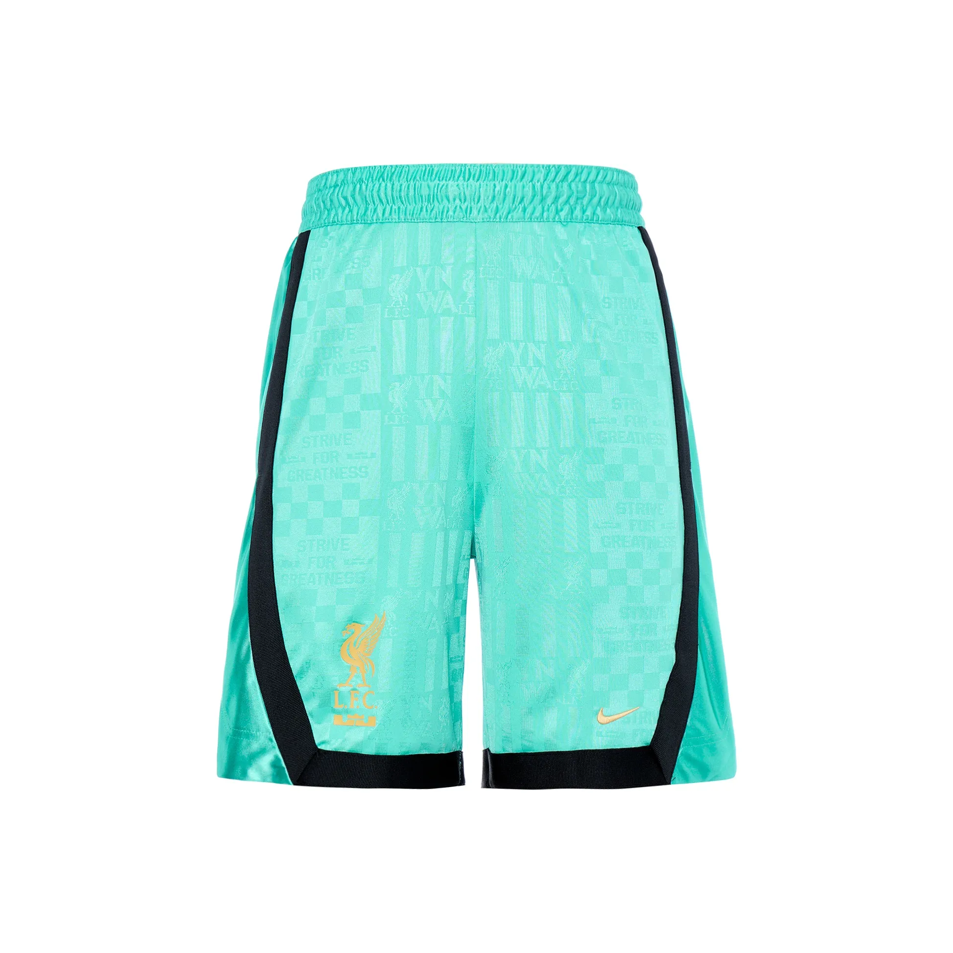 Nike Баскетбольные шорты Мужские Washed Cyan