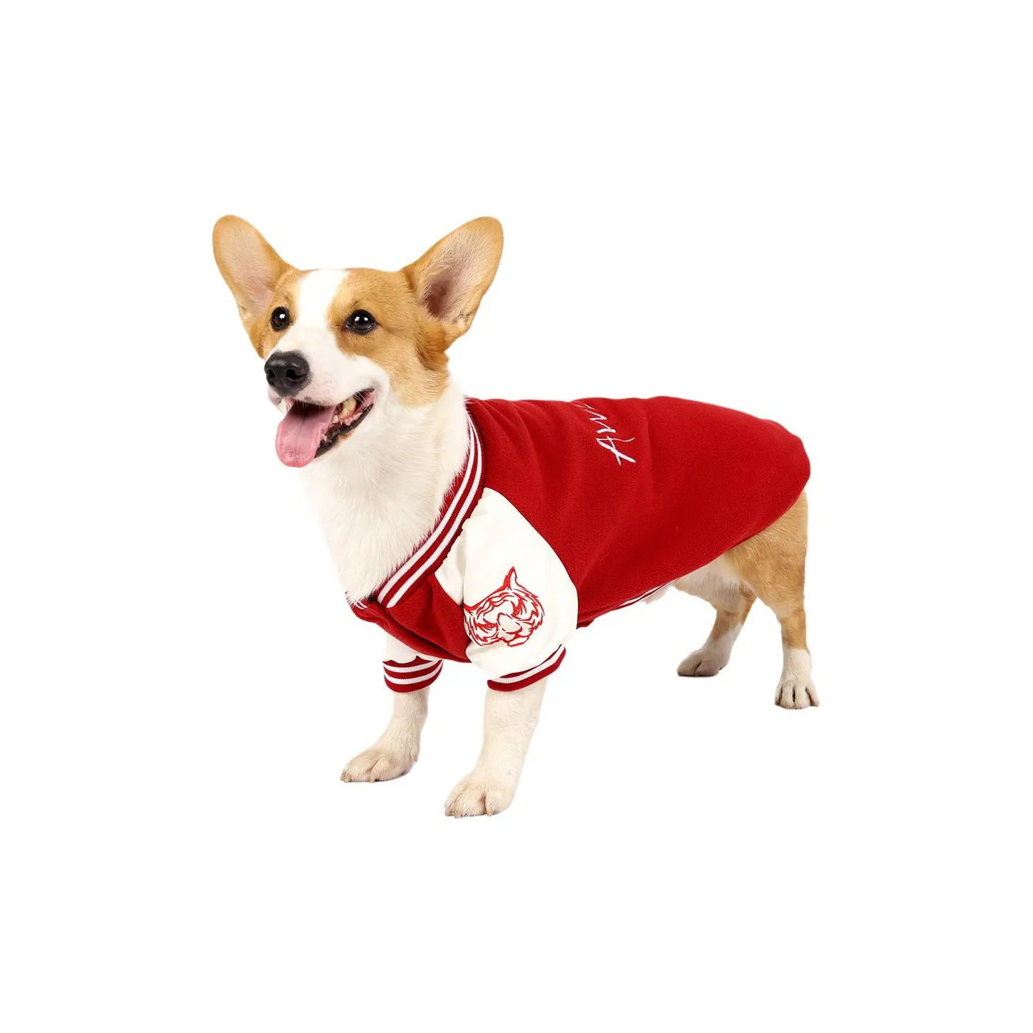 A good thing Dog Clothing & Raincoats