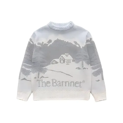 The Barnnet Смешанный серый Женские свитеры