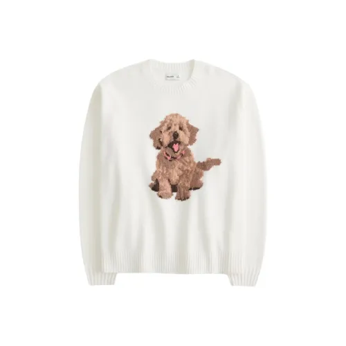 Hollister Белые Женские Свитеры