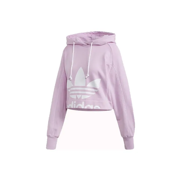 adidas originals Светло-фиолетовый Женские Свитшоты