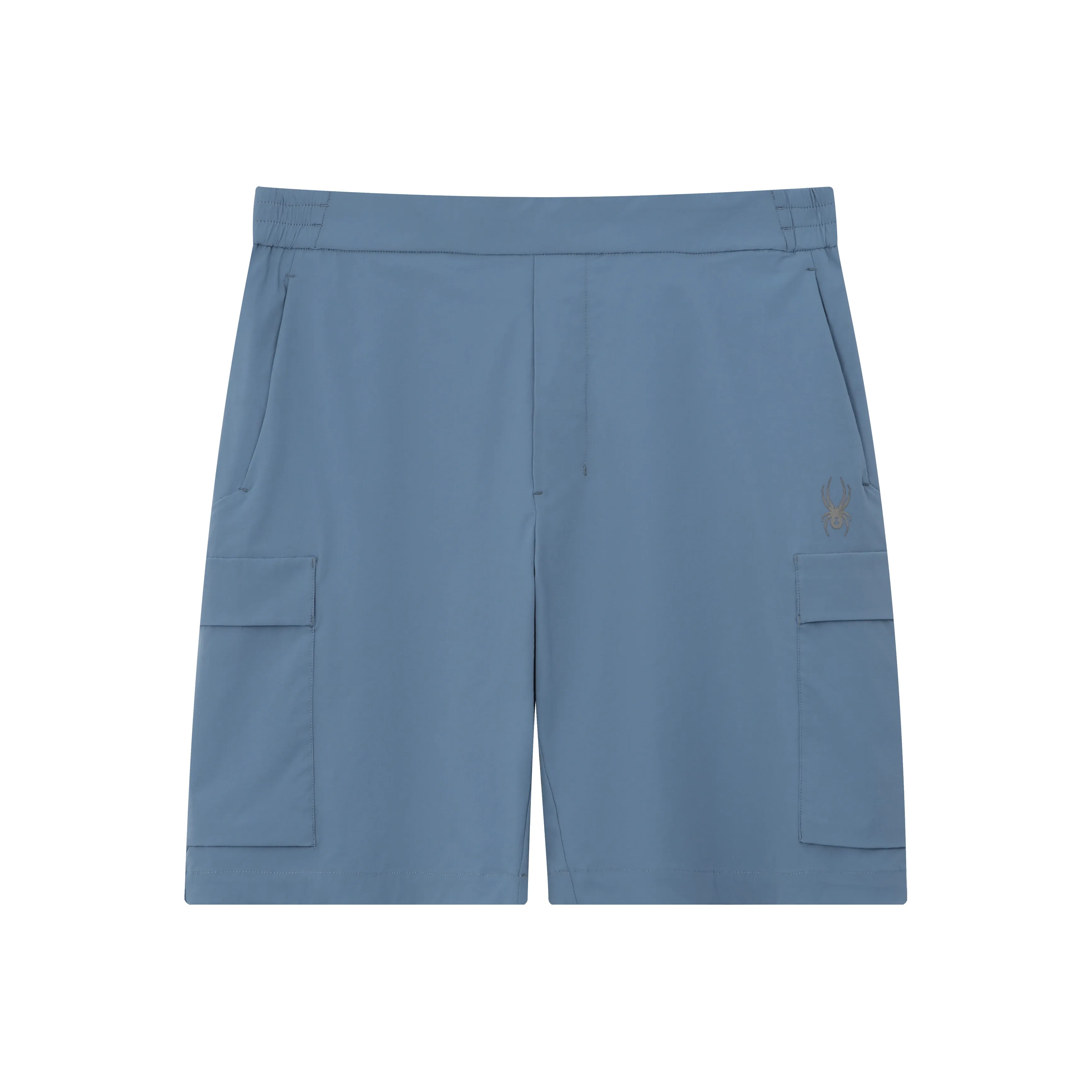 SPYDER Тренировка Повседневные Шорты Мужские