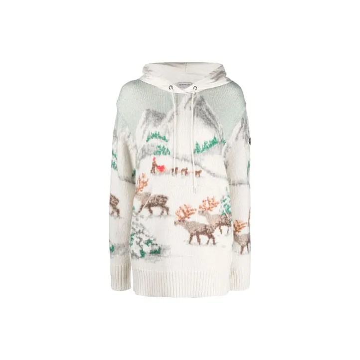 Moncler Patterned Hoodie 'Multicolor'