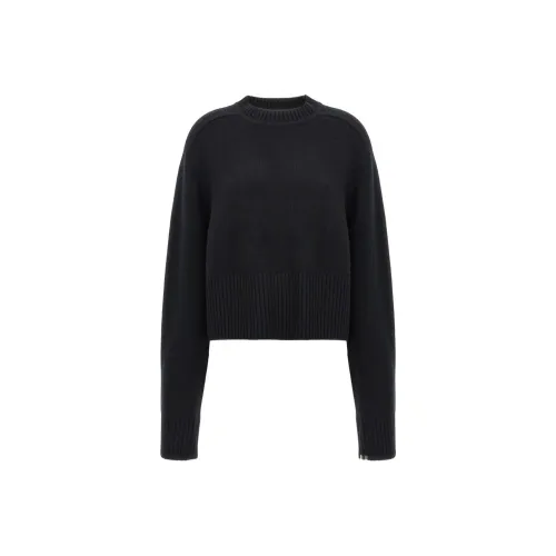 Extreme Cashmere Черные Женские Свитеры