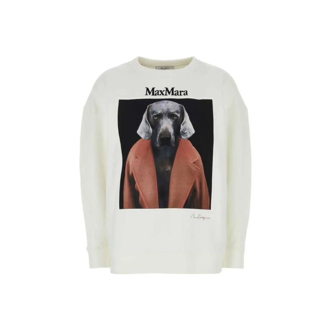 MaxMara Белый Женский Трикотаж