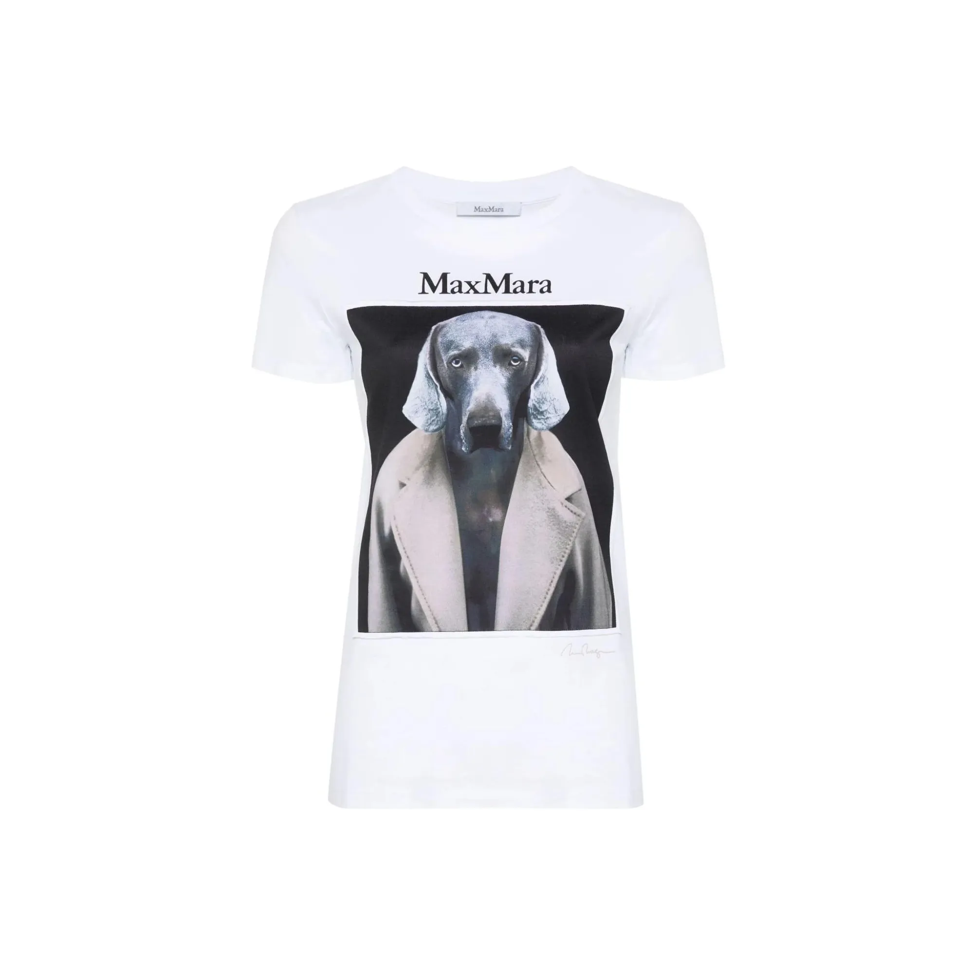 Max Mara Cipria Graphic Printed Crewneck T Shirt