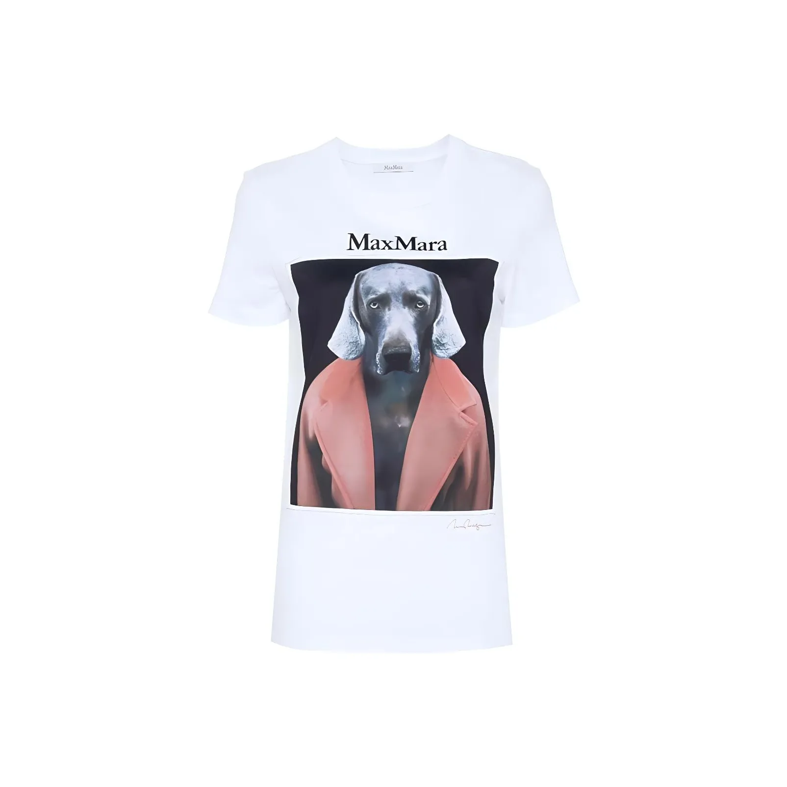 Max Mara Cipria Graphic Printed Crewneck T Shirt