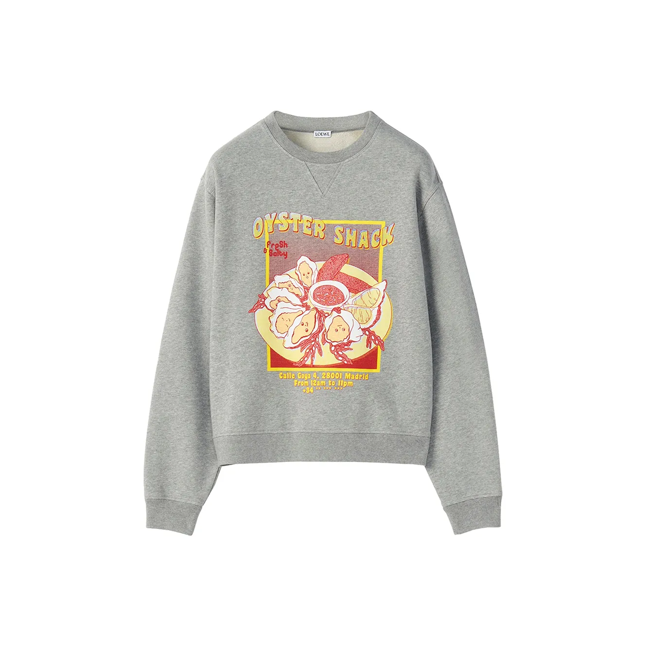LOEWE Sweatshirts Women's Gray